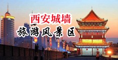 啊………啊……嗯……嗯……破处视频中国陕西-西安城墙旅游风景区
