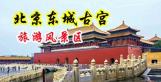 色色嫩穴影院中国北京-东城古宫旅游风景区